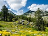 Národní park Lovcen, Černá hora
